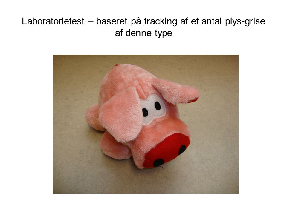 Laboratorietest – baseret på tracking af et antal plys-grise af denne type