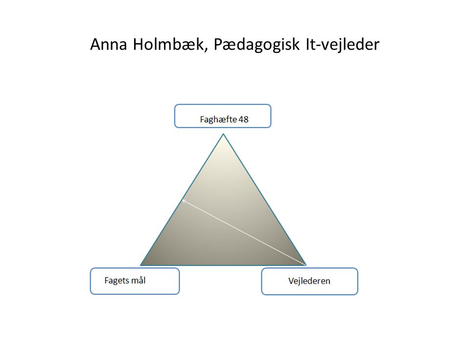 Anna Holmbæk, Pædagogisk It-vejleder