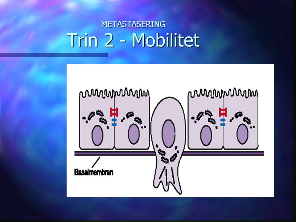 METASTASERING Trin 2 - Mobilitet