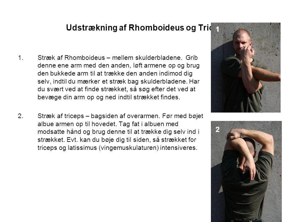 Udstrækning af Rhomboideus og Triceps.