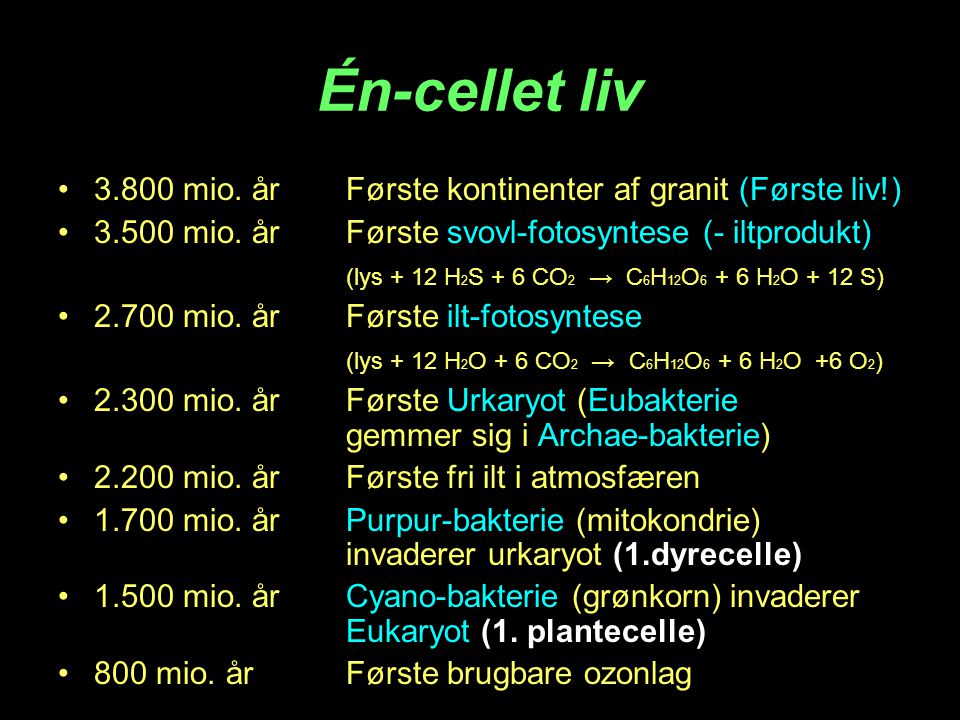 Én-cellet liv mio. år Første kontinenter af granit (Første liv!)