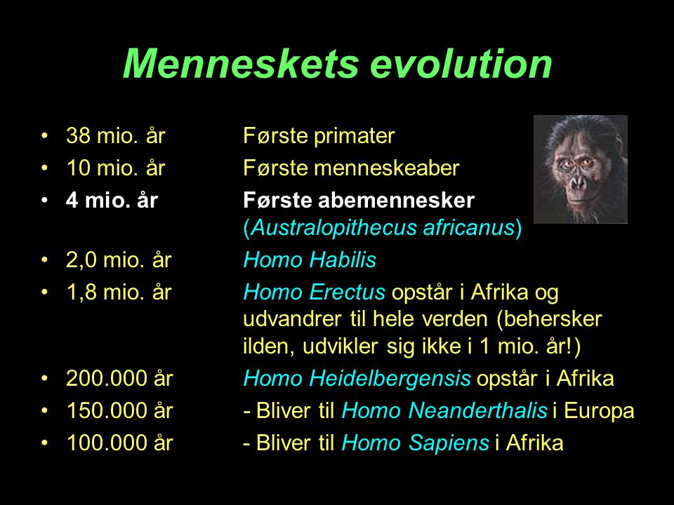 Menneskets evolution 38 mio. år Første primater
