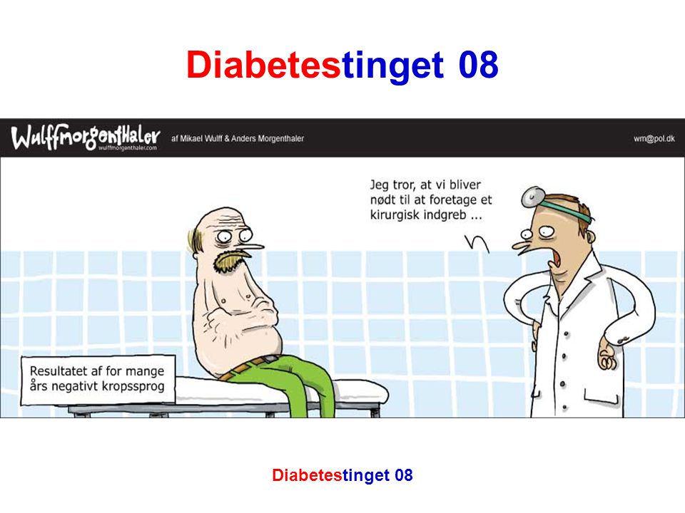 Diabetestinget 08 Diabetestinget 08 17