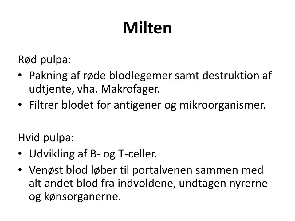 Milten Rød pulpa: Pakning af røde blodlegemer samt destruktion af udtjente, vha. Makrofager. Filtrer blodet for antigener og mikroorganismer.