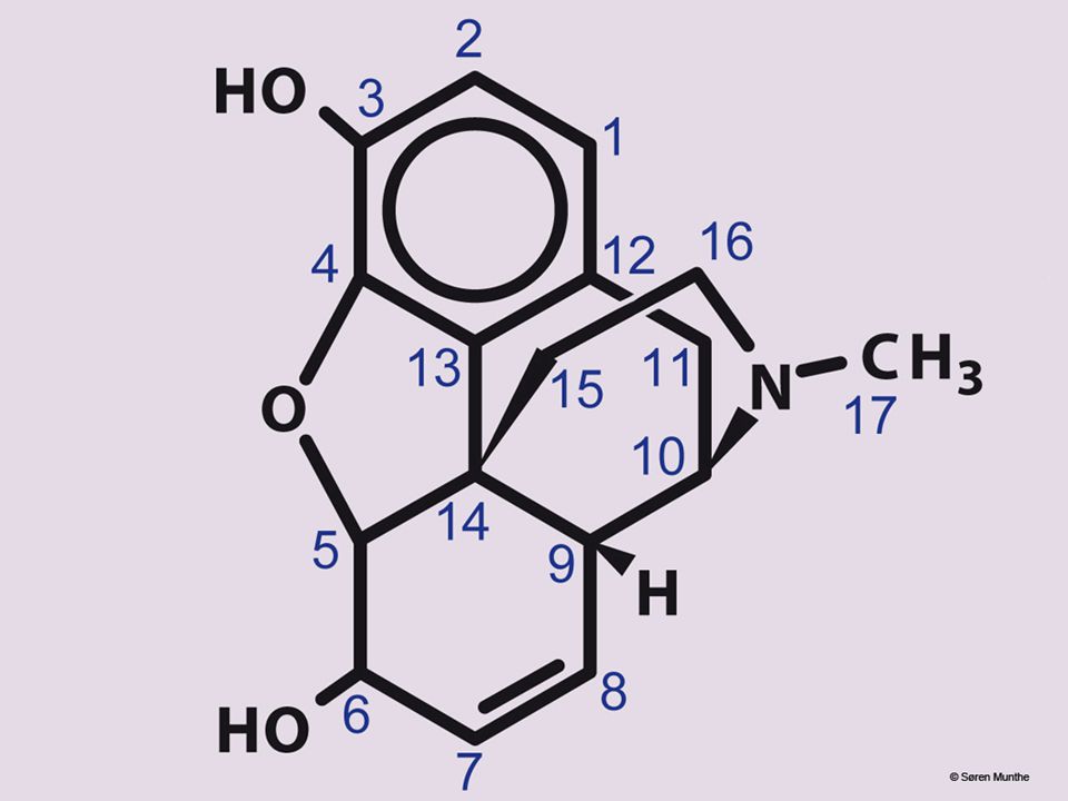 Figur 13 En strukturformel for morfinmolekylet med nummerering af C-atomerne.