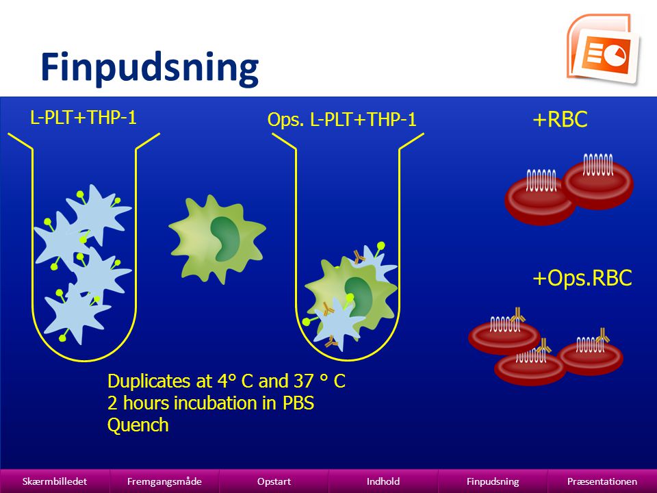 Finpudsning +RBC +Ops.RBC L-PLT+THP-1 Ops. L-PLT+THP-1