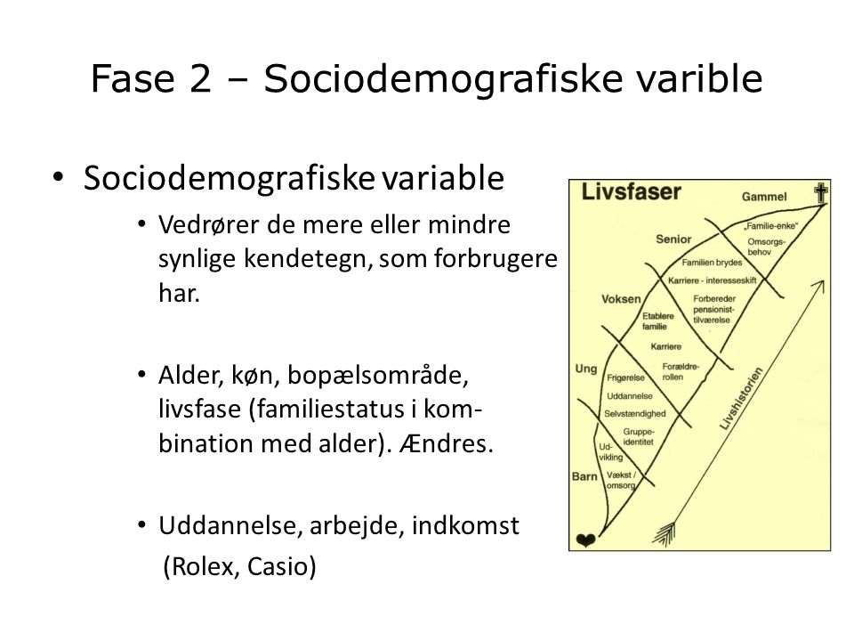 Fase 2 – Sociodemografiske varible