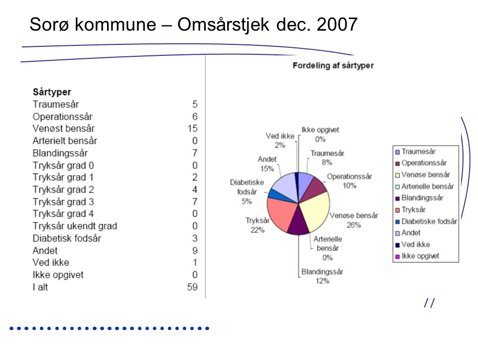 Sorø kommune – Omsårstjek dec. 2007