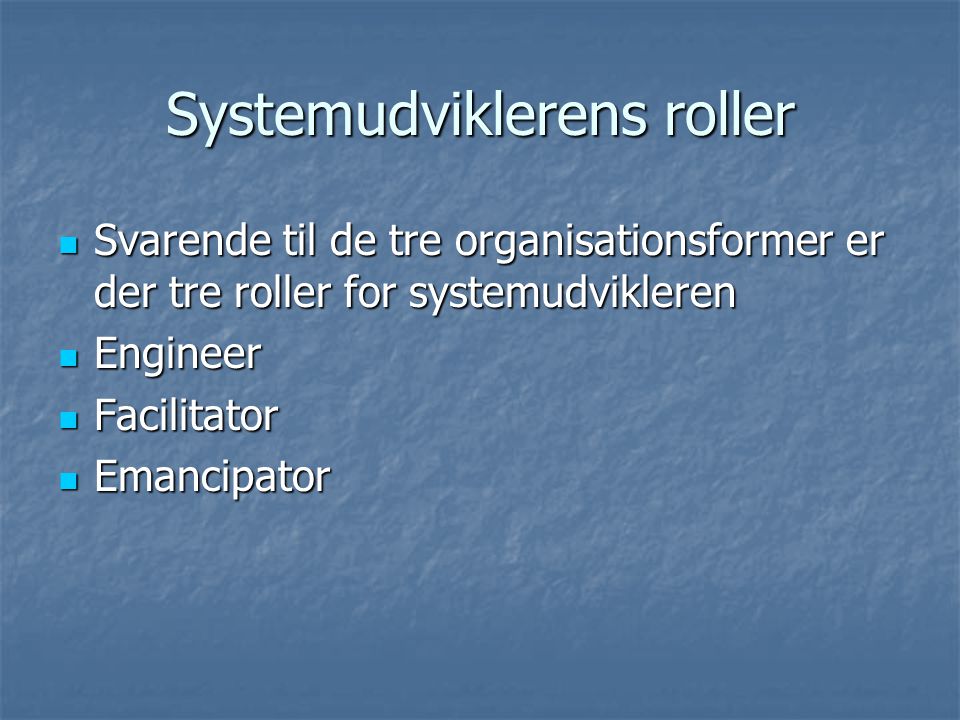 Systemudviklerens roller