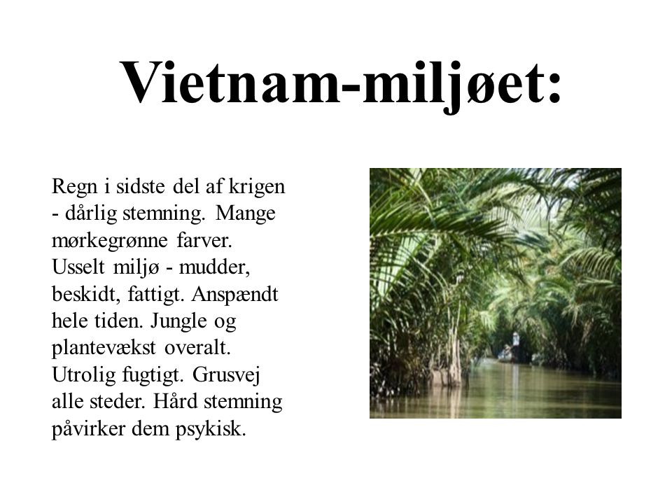 Vietnam-miljøet: