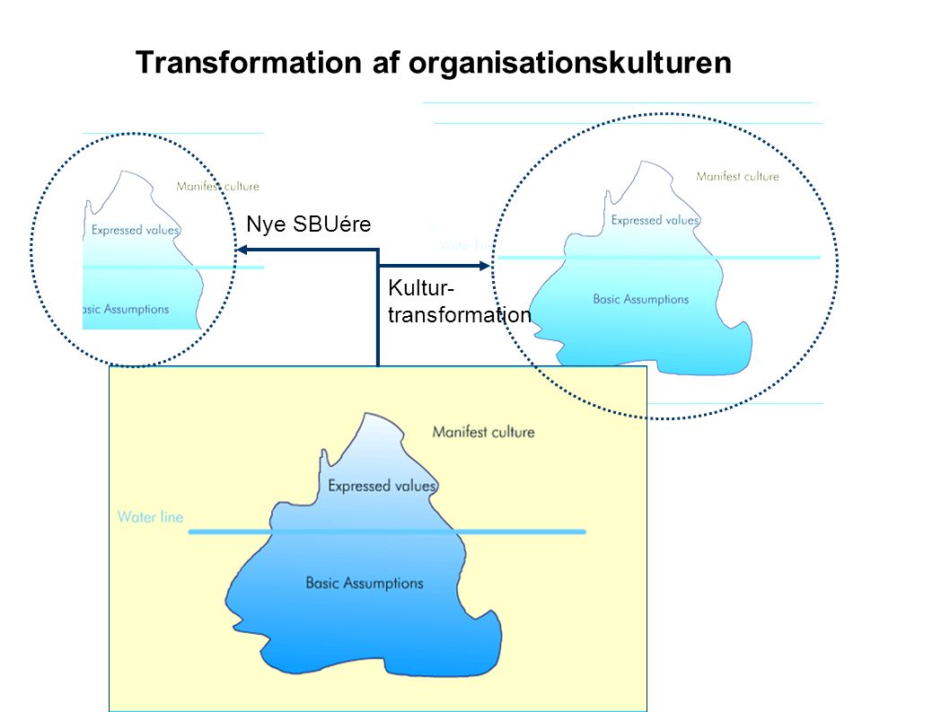 Transformation af organisationskulturen