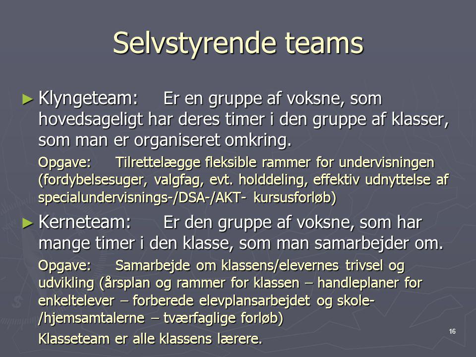 Selvstyrende teams Klyngeteam: Er en gruppe af voksne, som hovedsageligt har deres timer i den gruppe af klasser, som man er organiseret omkring.