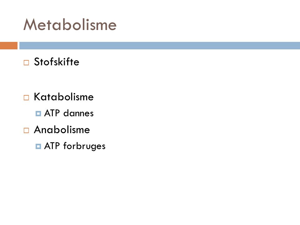 Metabolisme Stofskifte Katabolisme ATP dannes Anabolisme ATP forbruges