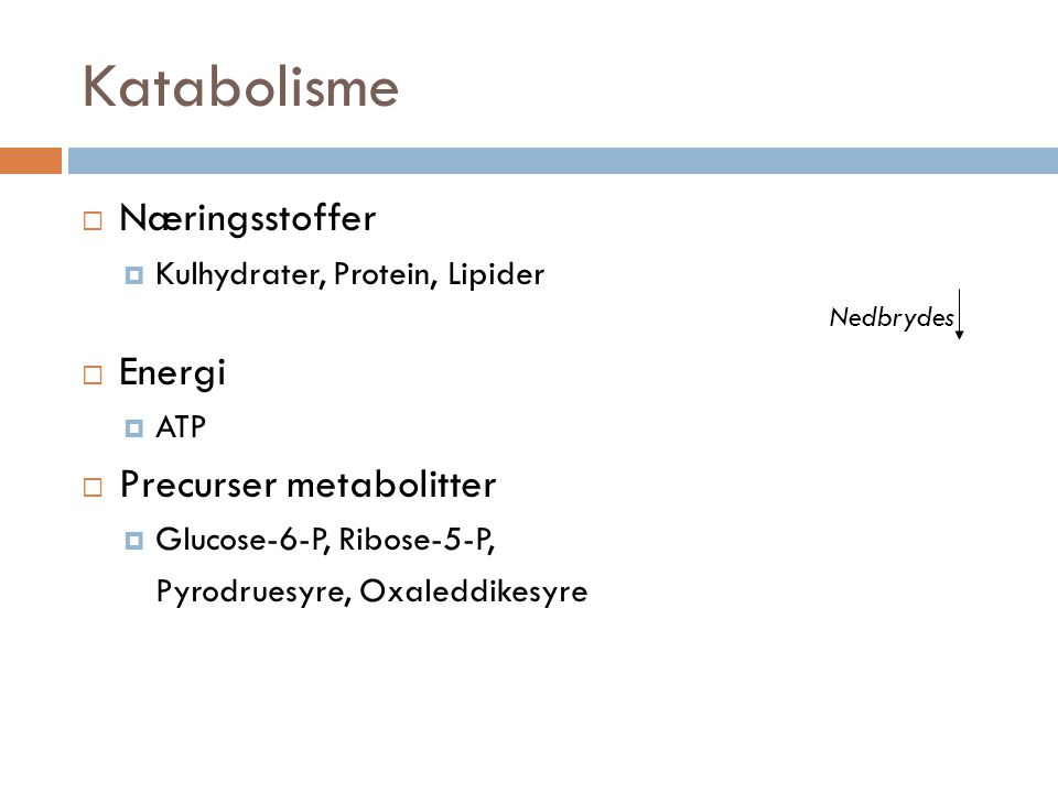 Katabolisme Næringsstoffer Energi Precurser metabolitter