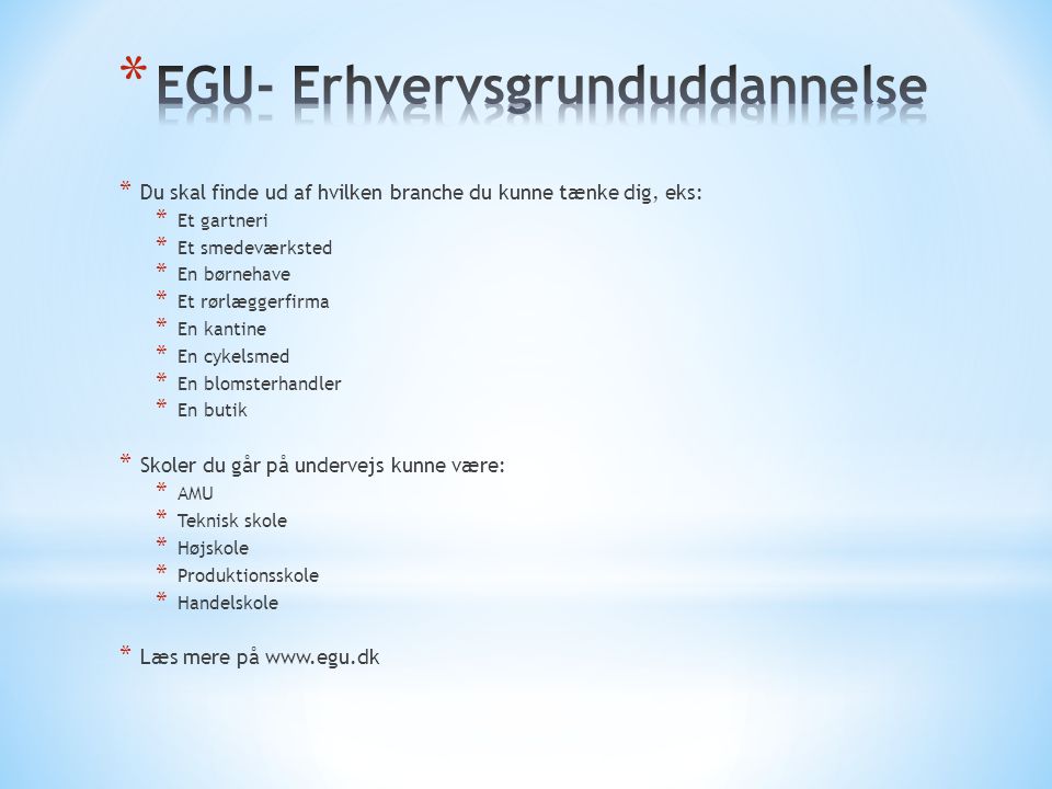EGU- Erhvervsgrunduddannelse