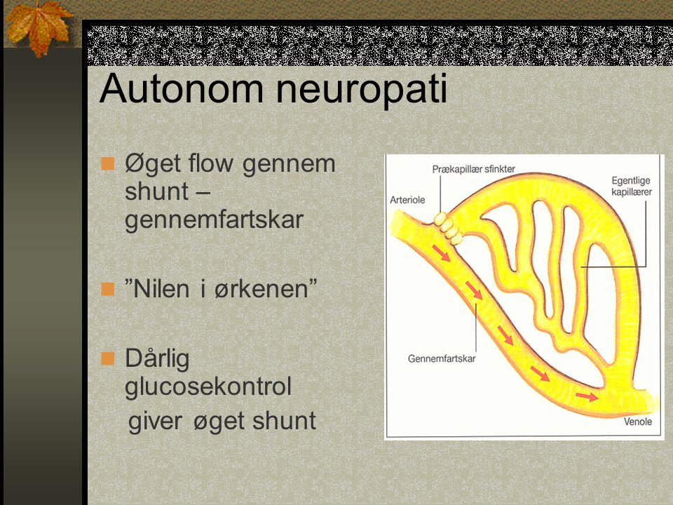 Autonom neuropati Øget flow gennem shunt – gennemfartskar