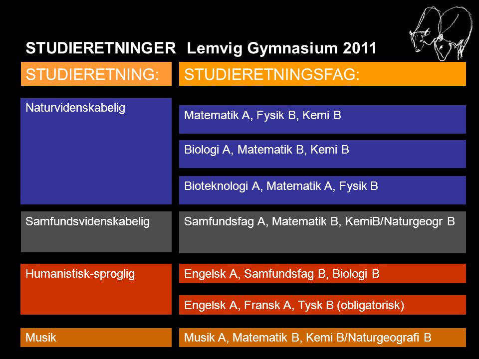 STUDIERETNINGER Lemvig Gymnasium 2011