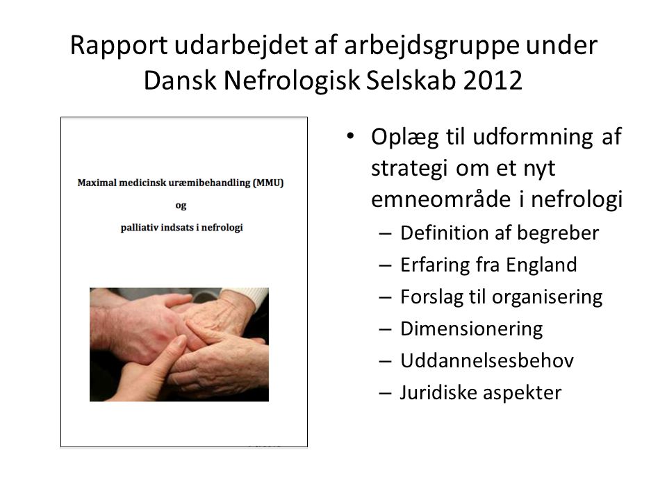 Rapport udarbejdet af arbejdsgruppe under Dansk Nefrologisk Selskab 2012