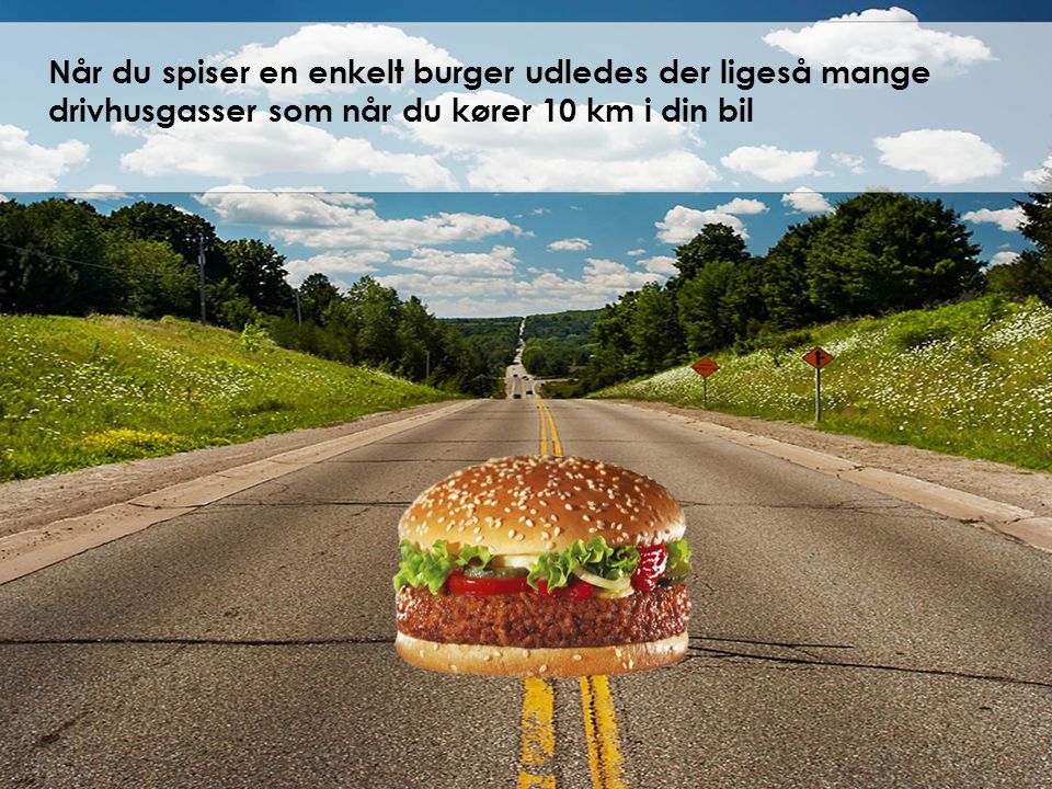 Når du spiser en enkelt burger udledes der ligeså mange drivhusgasser som når du kører 10 km i din bil