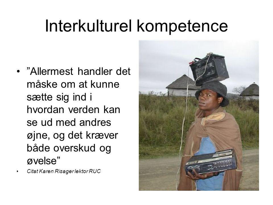 Interkulturel kompetence