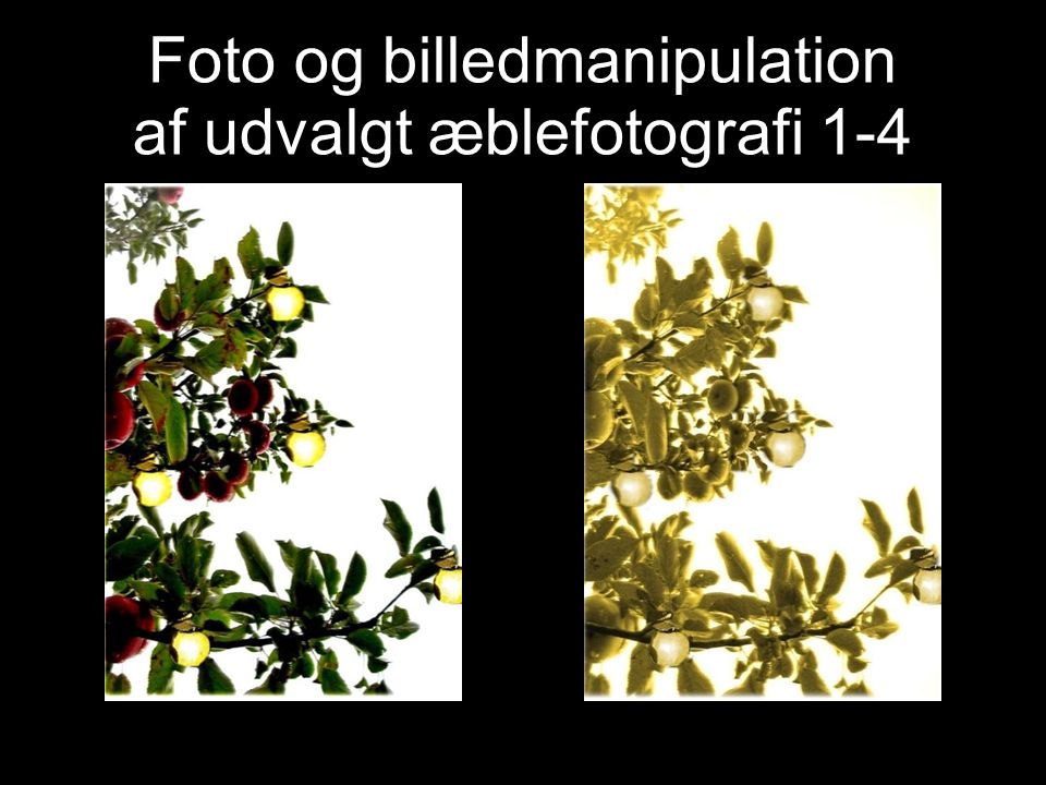 Foto og billedmanipulation af udvalgt æblefotografi 1-4
