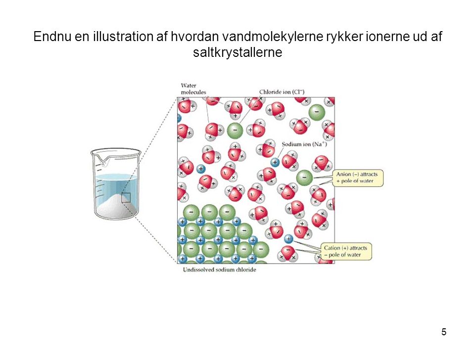 Endnu en illustration af hvordan vandmolekylerne rykker ionerne ud af saltkrystallerne