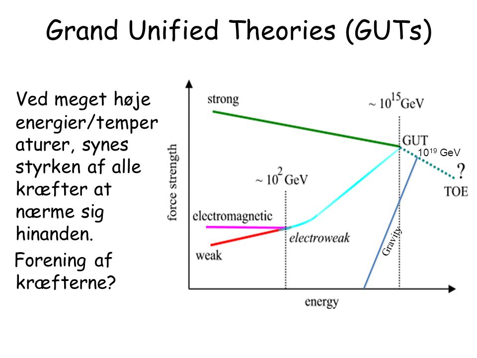 Grand Unified Theories (GUTs)