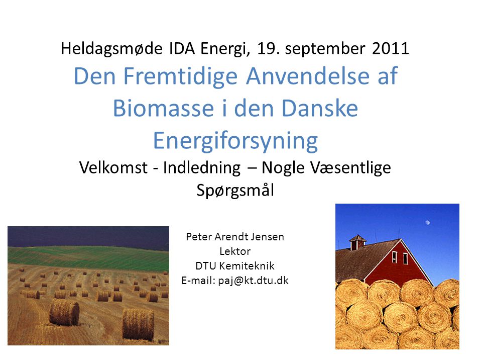 Den Fremtidige Anvendelse af Biomasse i den Danske Energiforsyning