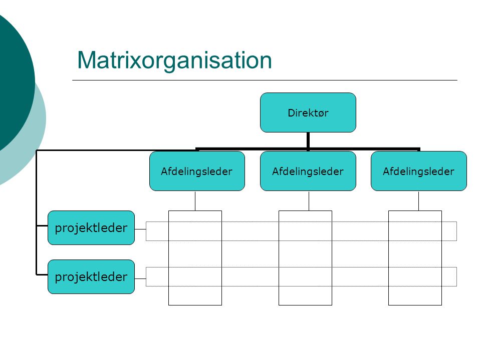 Matrixorganisation projektleder projektleder