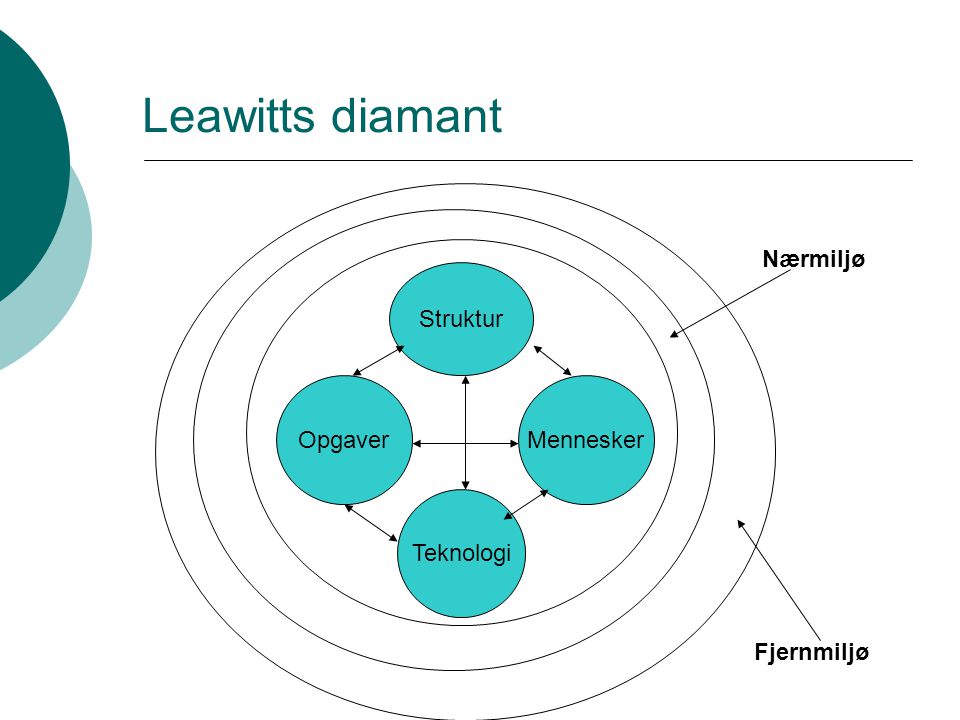 Leawitts diamant Nærmiljø Struktur Opgaver Mennesker Teknologi