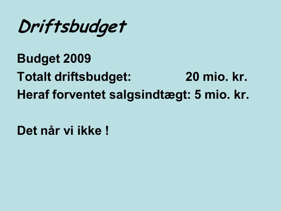 Driftsbudget Budget 2009 Totalt driftsbudget: 20 mio. kr.