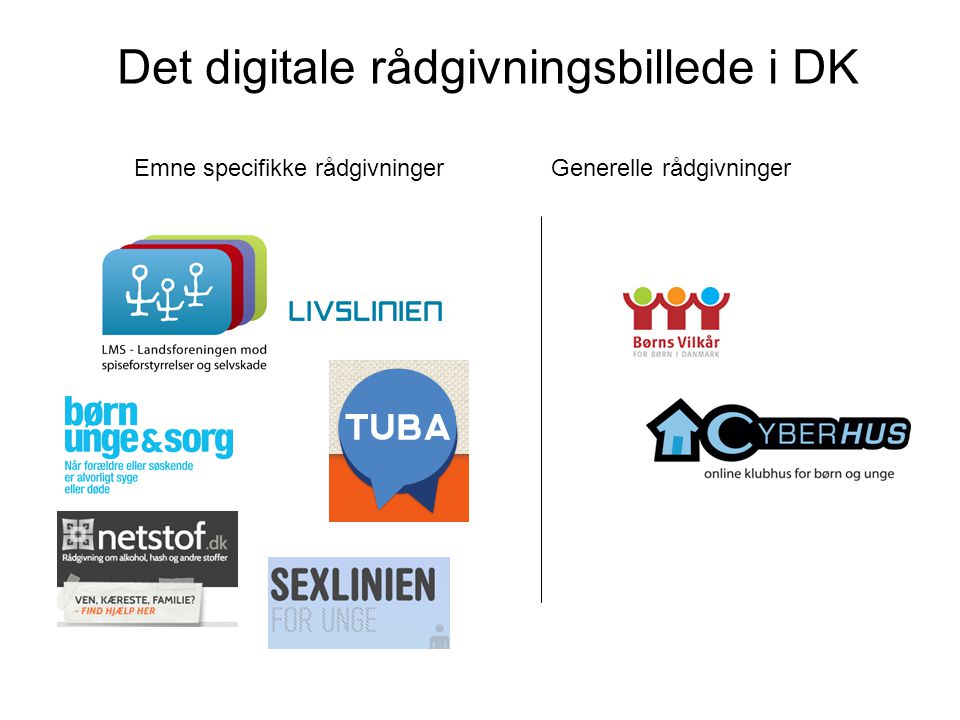 Det digitale rådgivningsbillede i DK