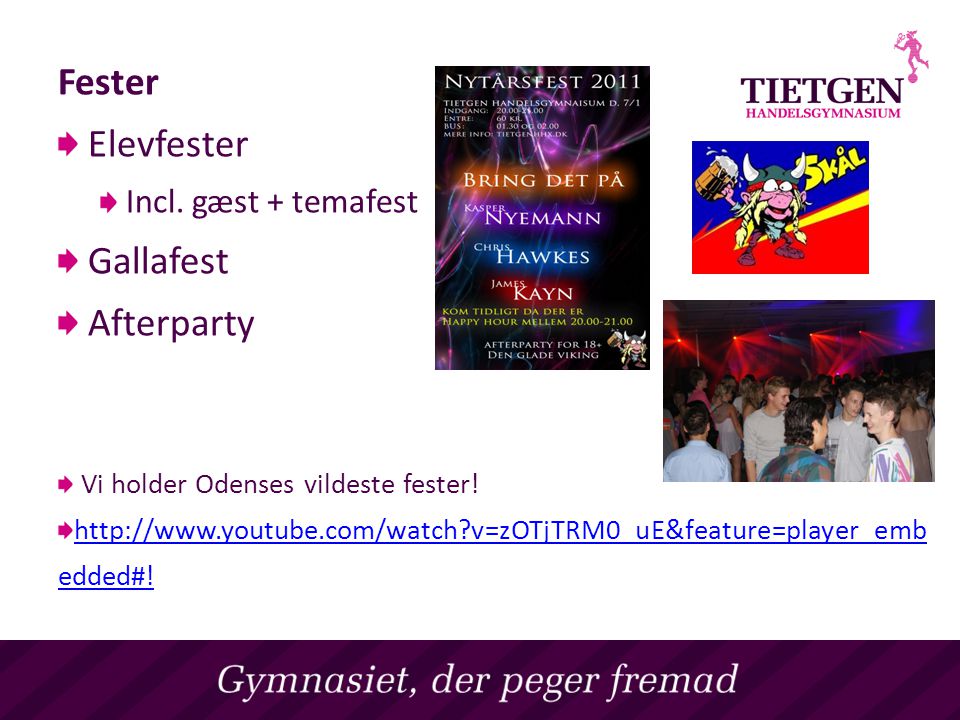 Fester Elevfester Gallafest Afterparty Incl. gæst + temafest