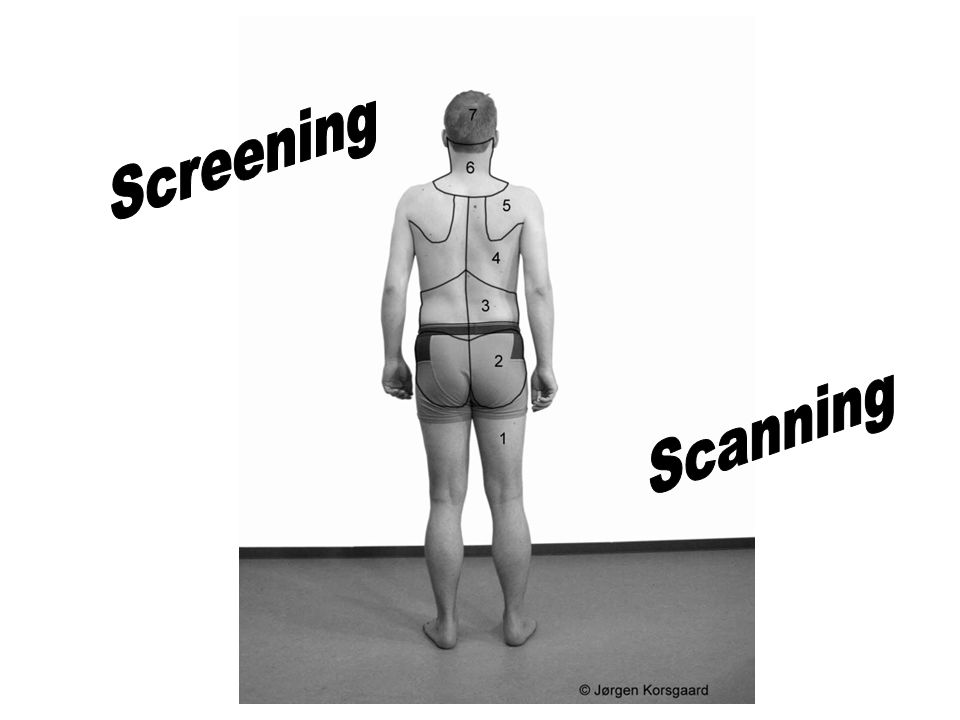 Screening Scanning.