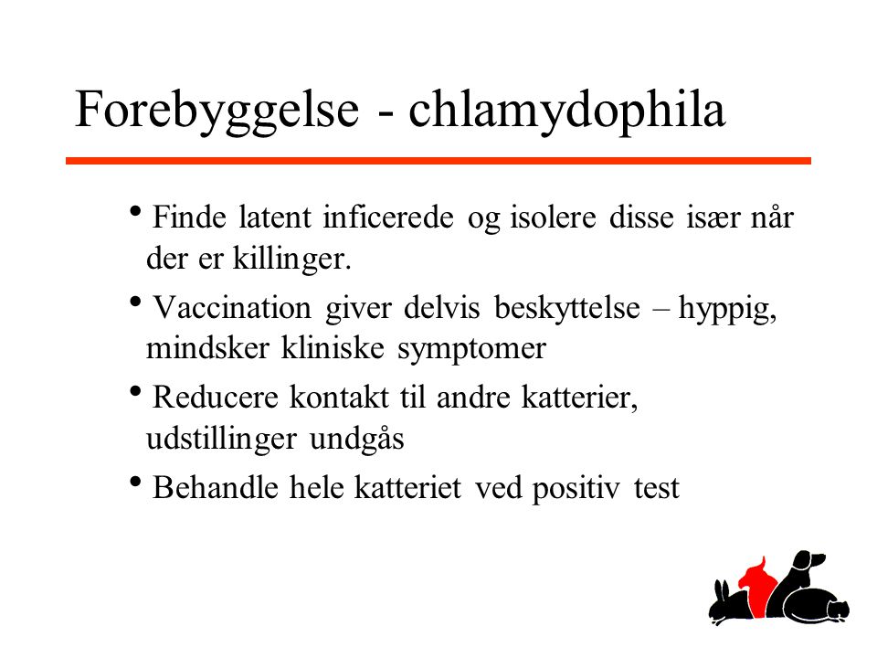 Forebyggelse - chlamydophila
