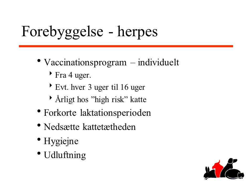 Forebyggelse - herpes Vaccinationsprogram – individuelt