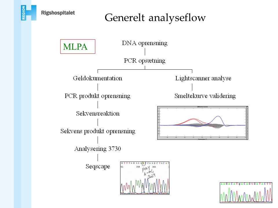 Generelt analyseflow MLPA