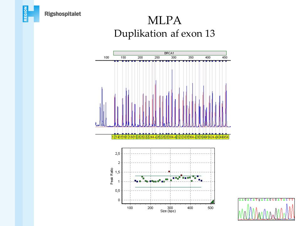 MLPA Duplikation af exon 13