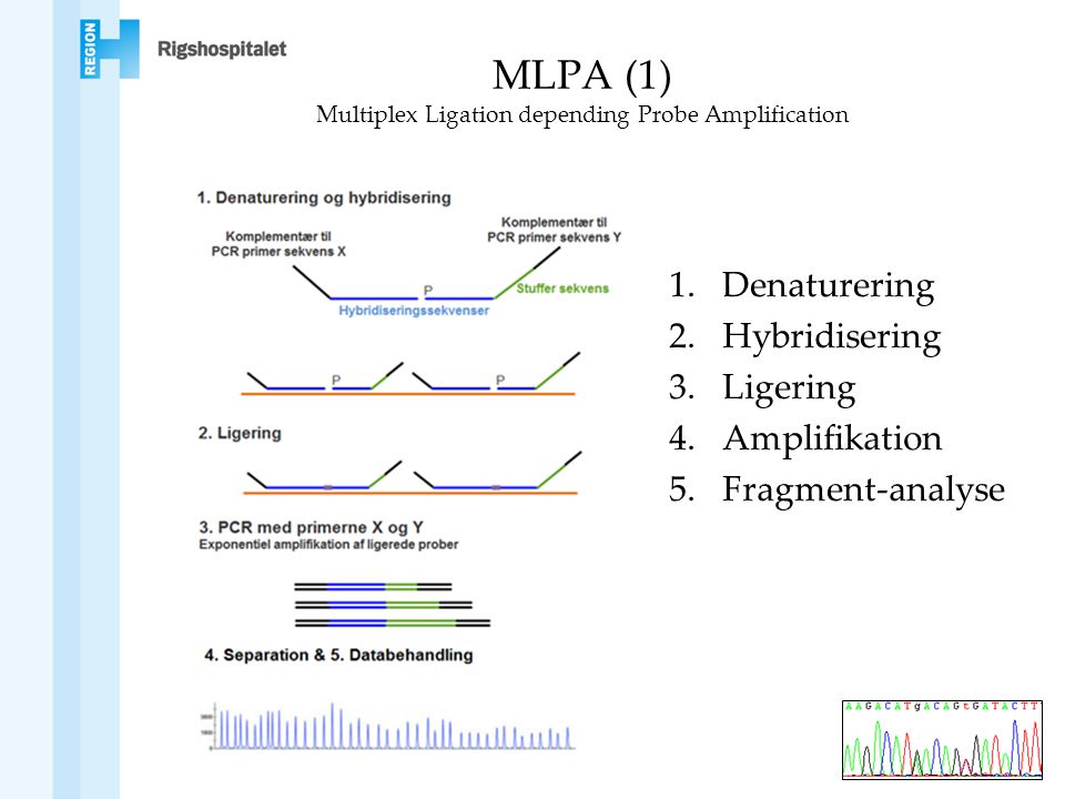 MLPA (1) Multiplex Ligation depending Probe Amplification