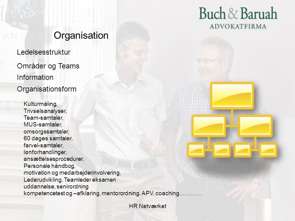 Organisation Ledelsesstruktur Områder og Teams Information