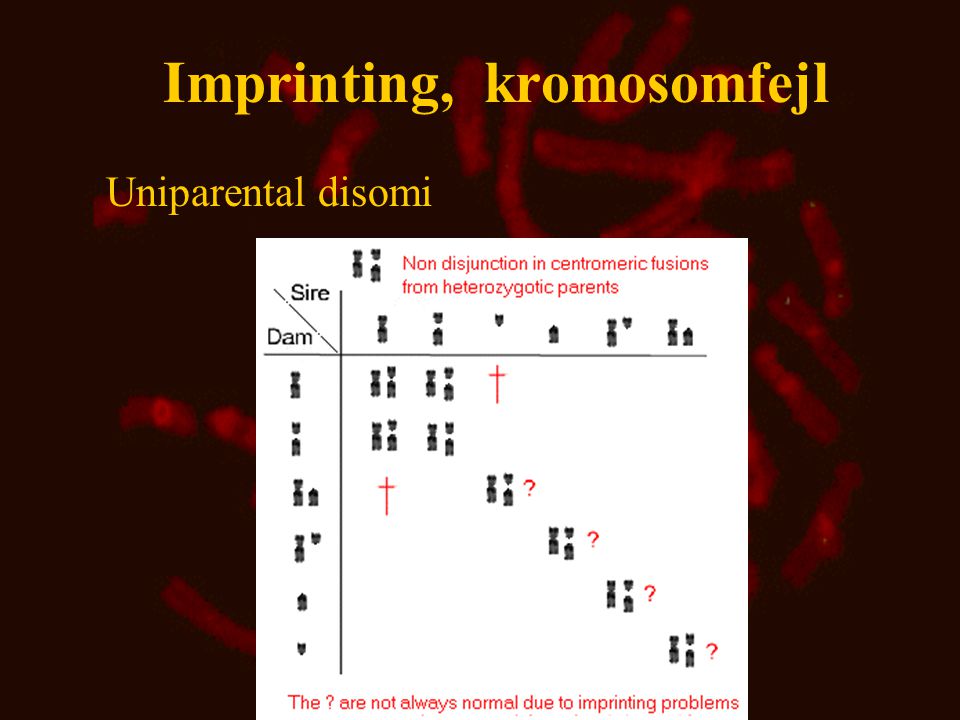 Imprinting, kromosomfejl