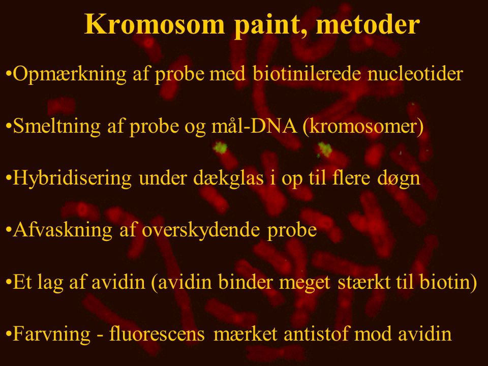 Kromosom paint, metoder