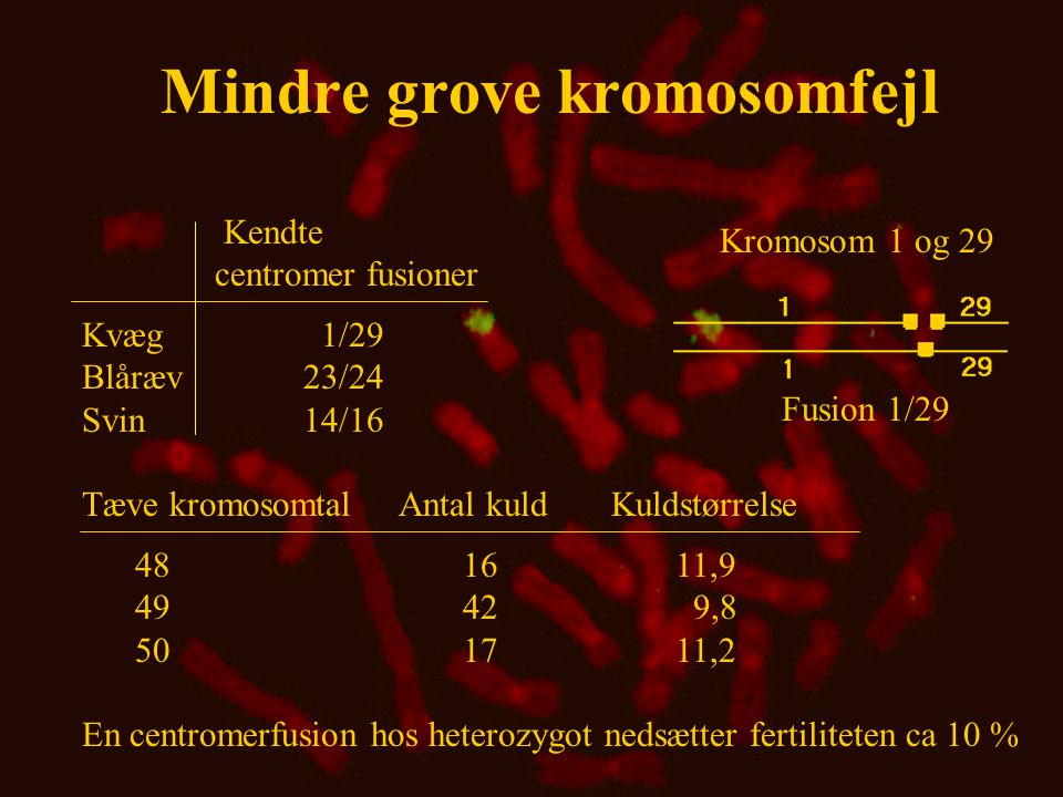 Mindre grove kromosomfejl