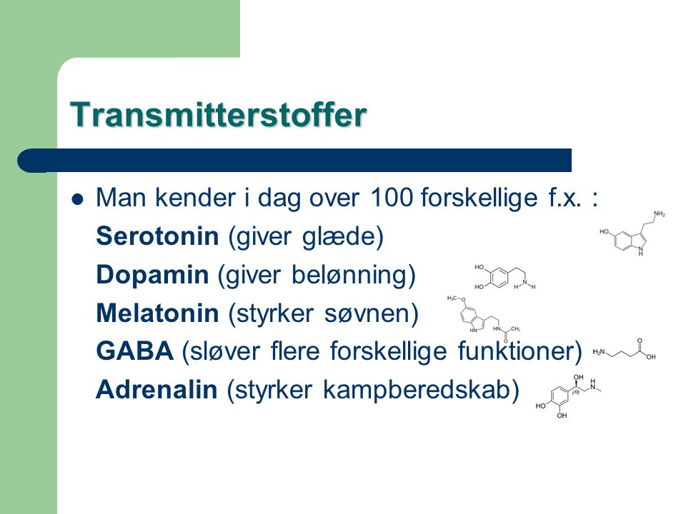 Transmitterstoffer Man kender i dag over 100 forskellige f.x. :