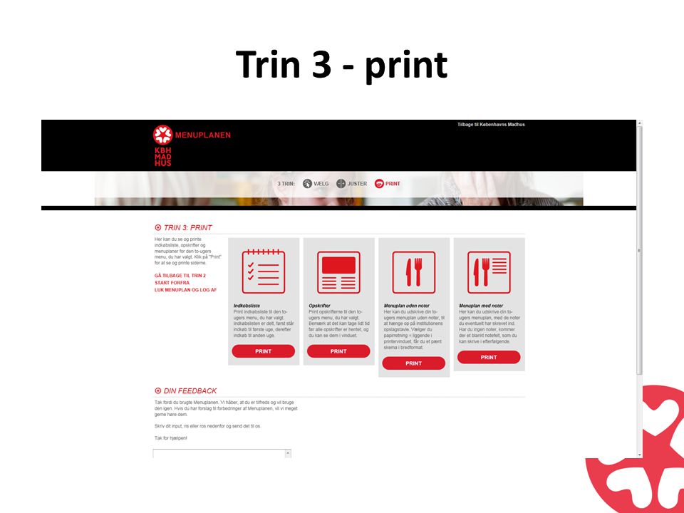 Trin 3 - print