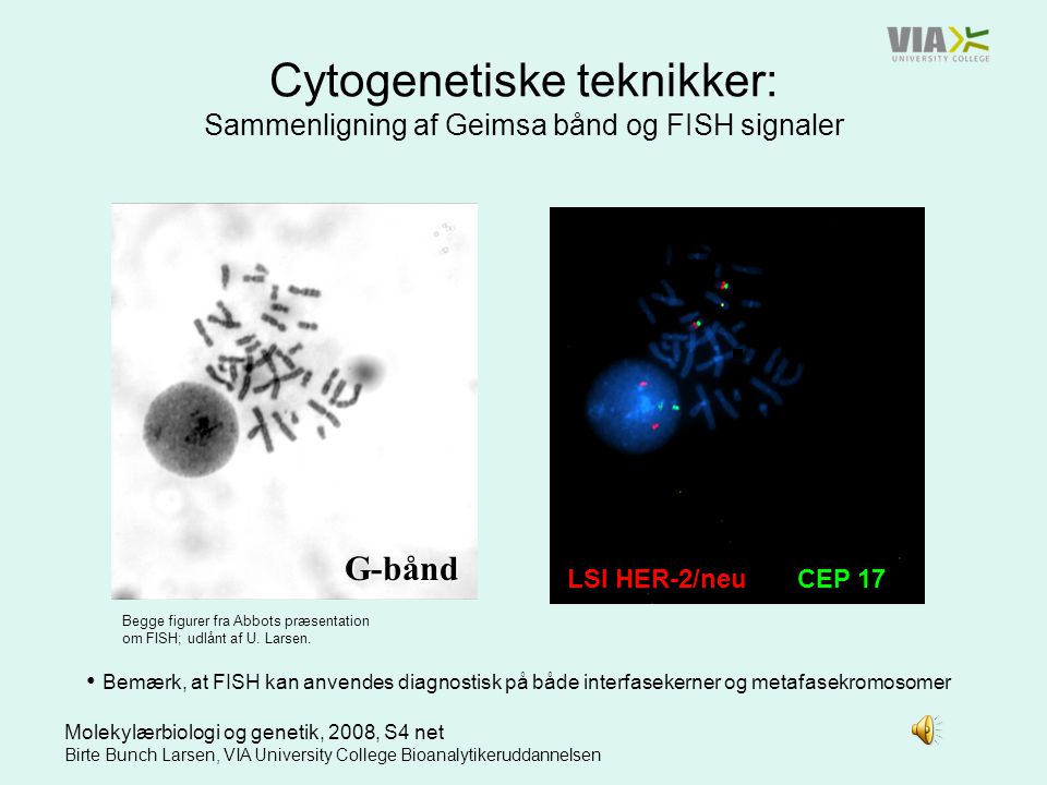 Cytogenetiske teknikker: Sammenligning af Geimsa bånd og FISH signaler