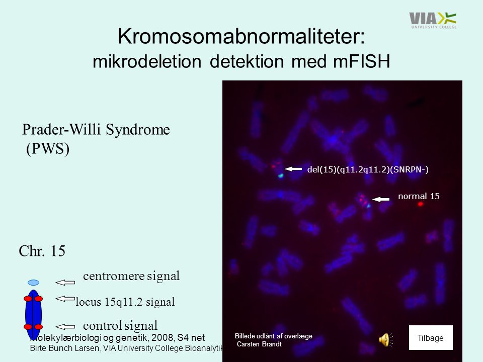 Kromosomabnormaliteter: mikrodeletion detektion med mFISH