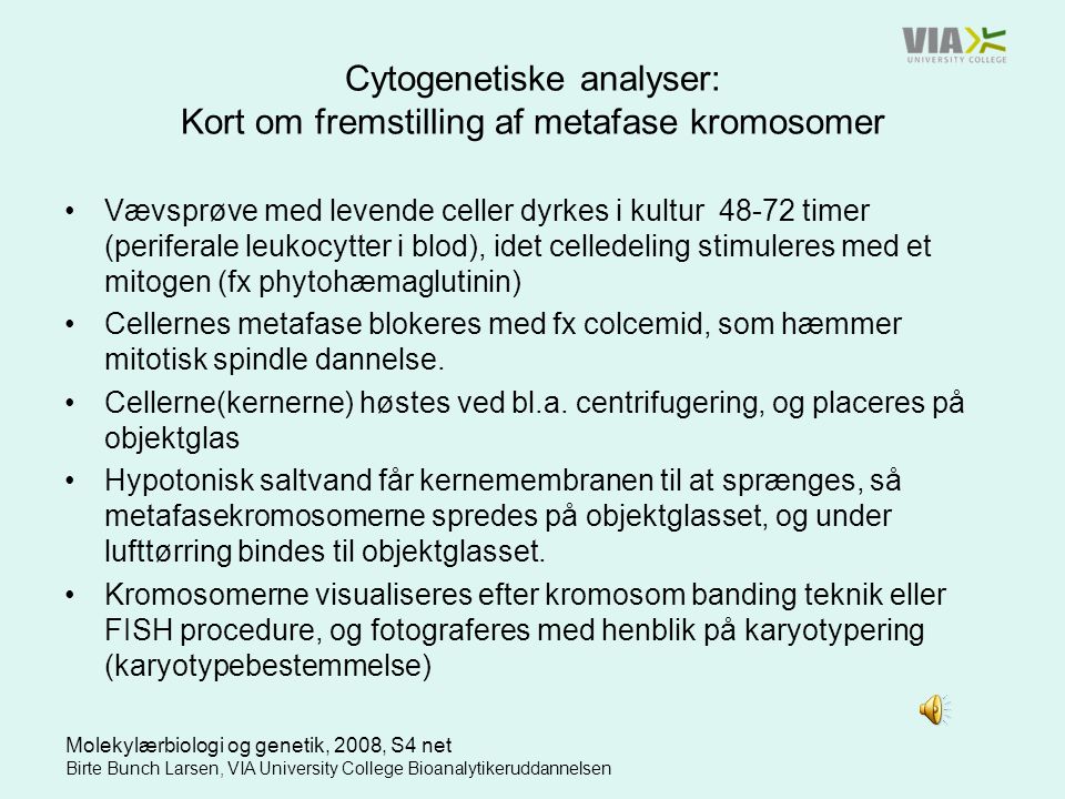 Cytogenetiske analyser: Kort om fremstilling af metafase kromosomer