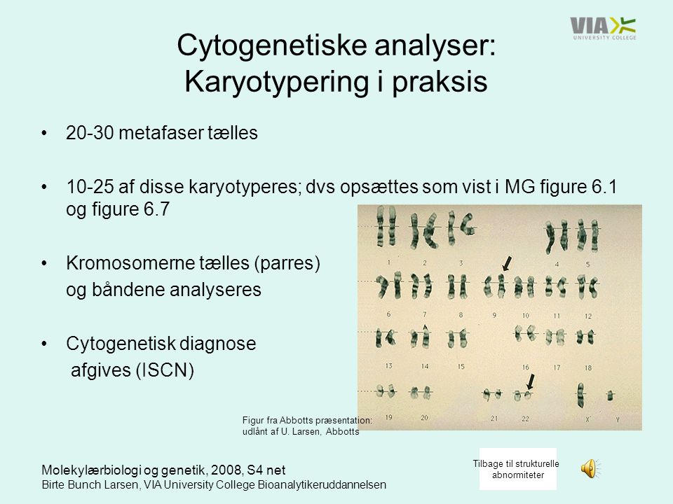 Cytogenetiske analyser: Karyotypering i praksis