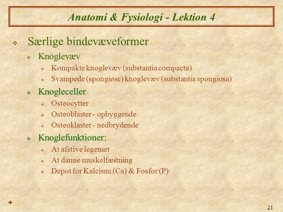 Anatomi & Fysiologi - Lektion 4